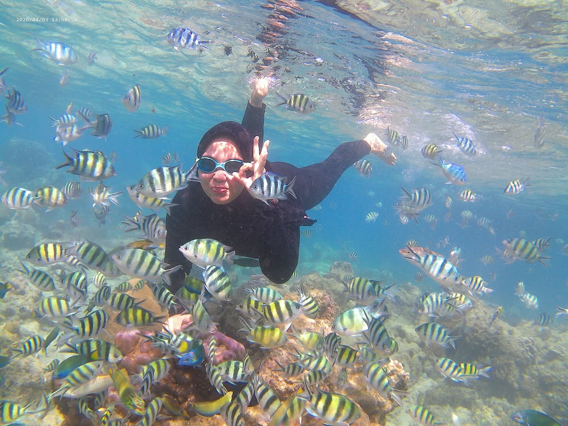 Dolphin watching Watamu season and why sightings are never guaranteed
